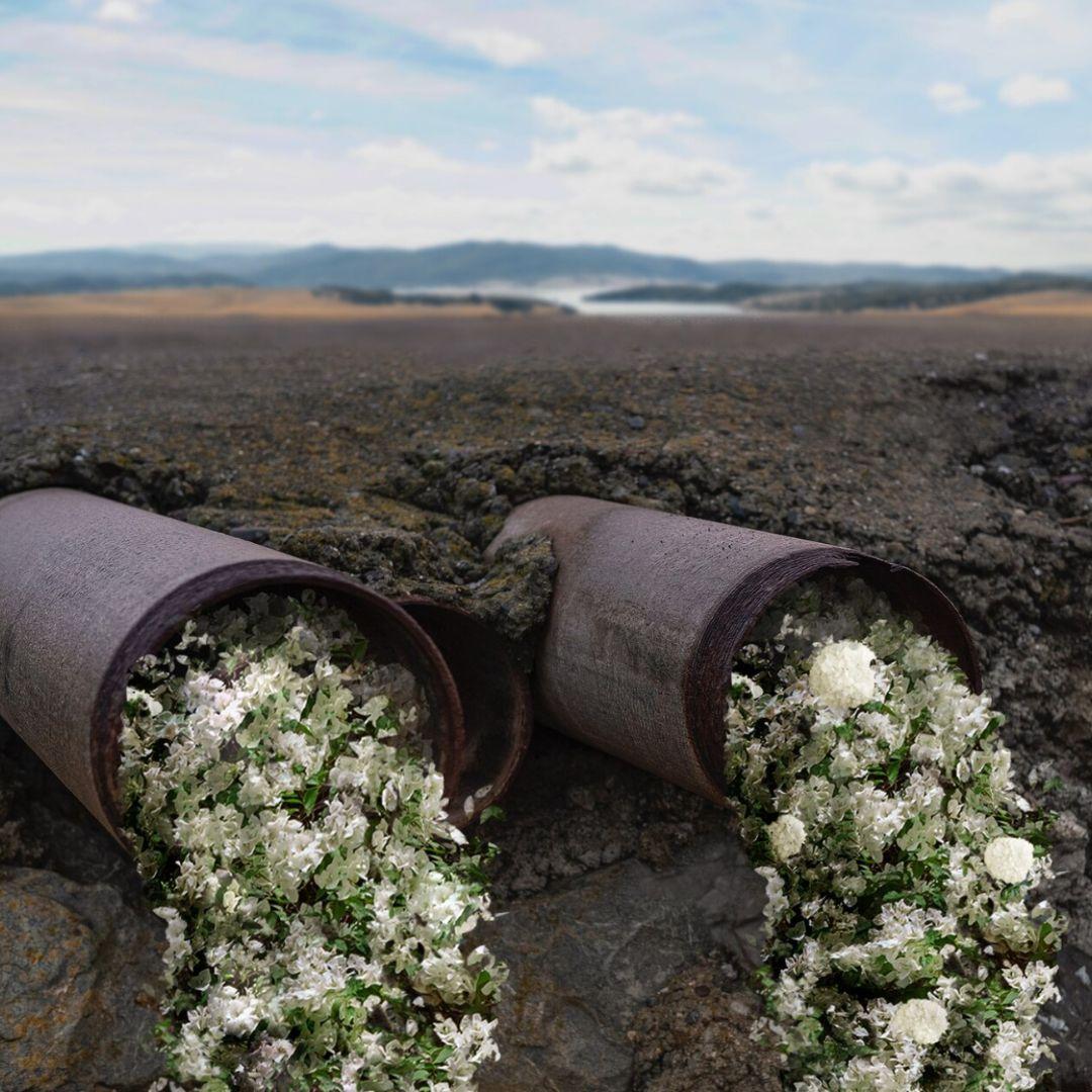 green hydrogen from waste