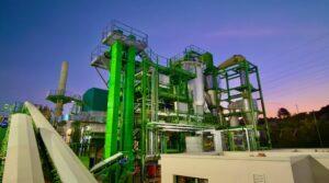 Hinojosa plant